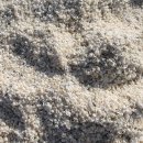 (주)샤크 이미지