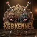 KGBKENNEL(케이지비켄넬) 네이버블로그