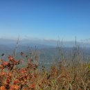 윗대티 등산로 이미지