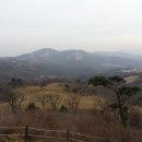 산새목장 네이버블로그