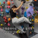 수원클라이밍 다녀온 솔직후기, 생각보다 너무 재밌다