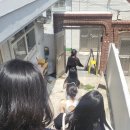 쉐리버트 이미지