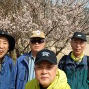 제405차 飛龍山(241m) 3.25(火)定期山行 이미지