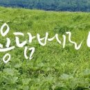 용담베리숲 이미지