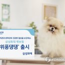 위풍댕댕 이미지