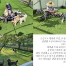 대양켄넬 이미지