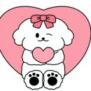 꼬모다미 이미지