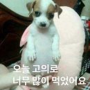 종강 내놔.