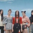 미야오 카카오 검색결과