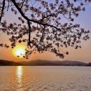 신평동374 네이버블로그