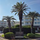 켄싱턴리조트 서귀포점 | [제주/서귀포] 켄싱턴리조트 서귀포점, 켄싱턴 프리미어 오션뷰 후기 &amp; 3박 이상 이용 시 혜택 정리