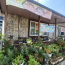 봉이네맛집 이미지