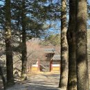 마북리 석불입상 및 석탑 | 문경 여행 코스 김룡사 경북 사찰 국내 조용한 여행지