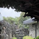 막다른 둥지 이미지