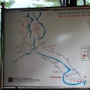 미선 식당 이미지