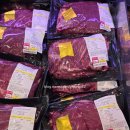 양지-2864 이미지