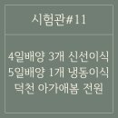 신선 2차 4일배양 3개이식 / 덕천 아가애봄 전원 결정