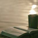 홈 바리스타(주간) | 커피 애호가라면 꼭 알아야 할 보석, 페루 노란디노 커피원두
