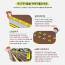 디자인엔승 이미지