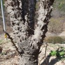 봉춘여관 이미지