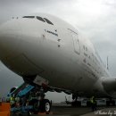 꿈의 비행 이미지