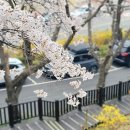 연암도서관 이미지