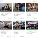 [송년사] 요즘 팅커벨 아이들에게 느끼는 정말 실질적인 고마움. 이미지