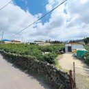 제주올레공인중개사사무소 이미지