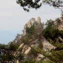 약초마을 이미지