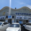 죽림어촌체험휴양마을 | 죽림어촌체험마을 진도 쏠비치 근처 조개체험 생생후기