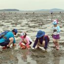 고창바지락칼국수 이미지
