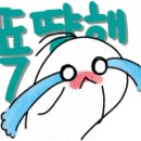 5가치킨