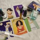 카드로 힐링하는 타로 | 용인타로는 묵리향!