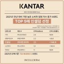 강릉인셀덤