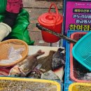 승푸회초장 이미지