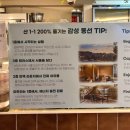 지에스25 이화마을점 | 낙산공원 카페 뷰 맛집 야경 맛집 이화벽화마을 카페 산 1-1 내돈내산 후기