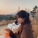 파머스일레븐 이미지