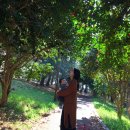 계룡산유아숲체험원 이미지