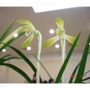 탄천종합운동장 이미지