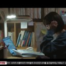 스테디독 이미지