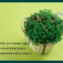 글나래 이미지