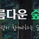 치유의숲야영장팬션