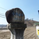 갑천우안도로 이미지