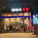 [부산] 광안리 초장집 추천 : 매운탕 맛집 태백이 초장 내돈내산