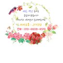 버스정류장_중앙병원 이미지