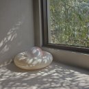 스테이 옥도 이미지