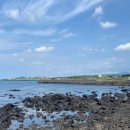 그린프라자 1차 이미지