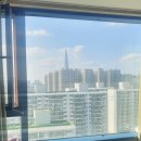 사이룩스 이미지