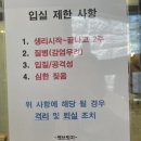 펫브릿지 | 김해 애견미용 삼계동 펫브릿지 호텔 미용 유치원 후기