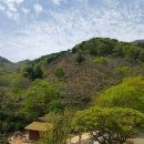 목통산장 이미지